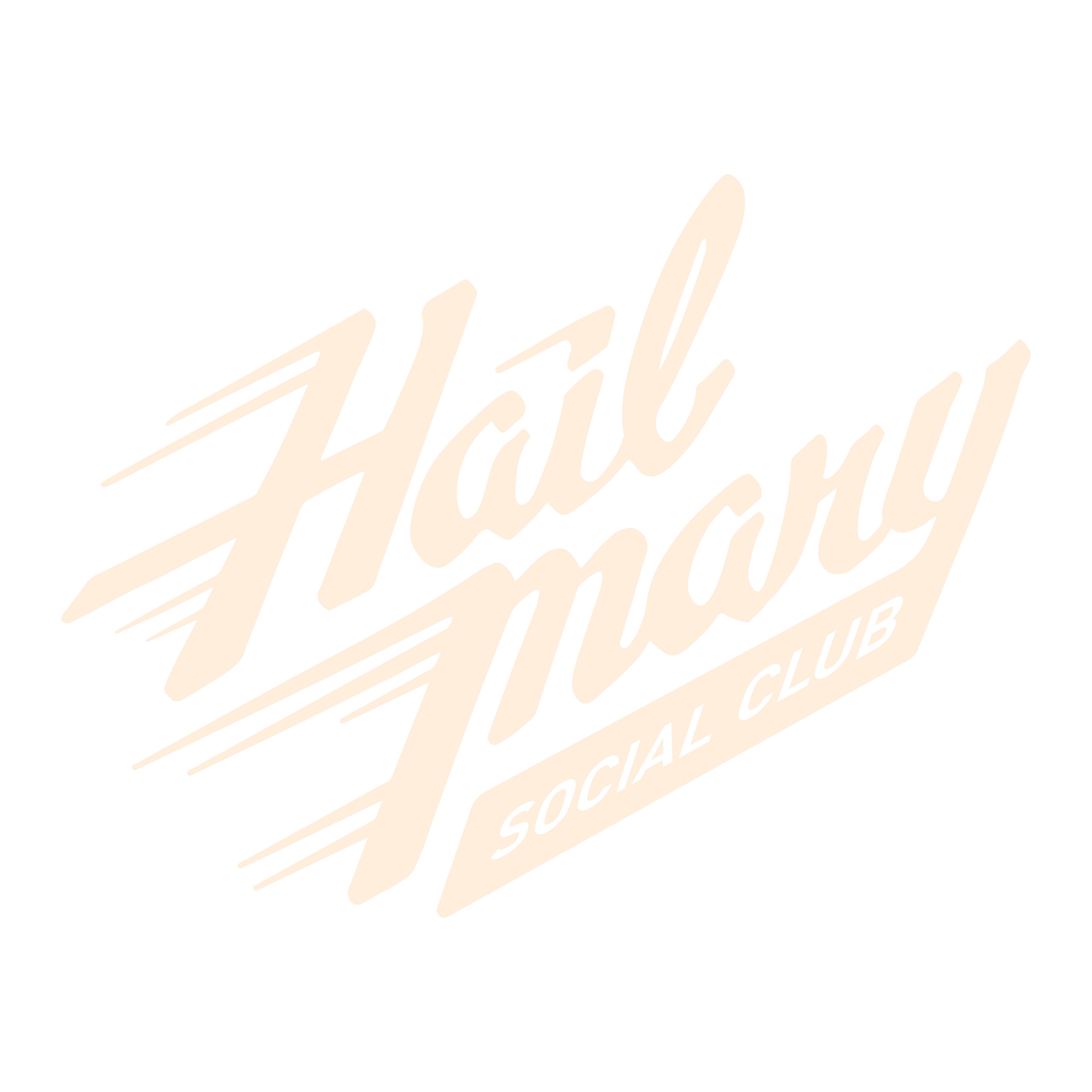 Hail Mary Social Club